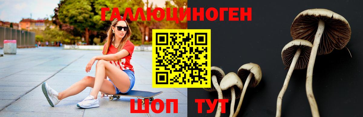 Галлюциногенные грибы ЛСД Орёл